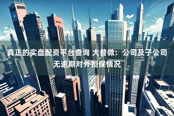 真正的实盘配资平台查询 大普微：公司及子公司无逾期对外担保情况